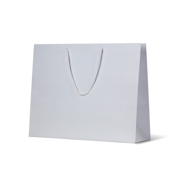 Laminated Matte Galleria White Paper Bag - 50/ctn