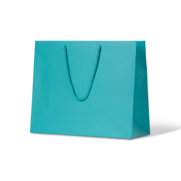 Laminated Matte Madison Aqua Paper Bag - 50/ctn