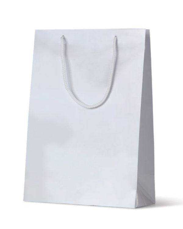 Laminated Gloss Michelle White Paper Bag - 100/ctn
