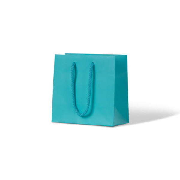 Laminated Matte Petite Aqua Paper Bag - 200/ctn