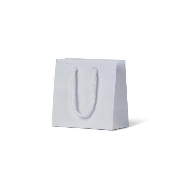 Laminated Matte Petite White Paper Bag - 200/ctn