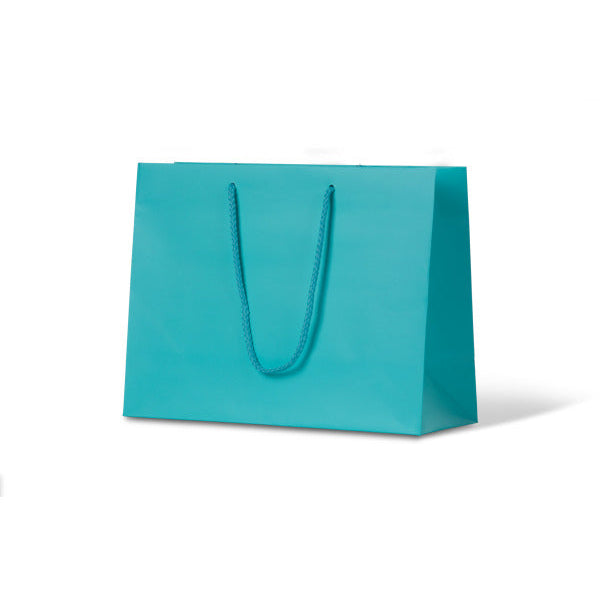 Laminated Matte Ruby Aqua Paper Bag - 100/ctn