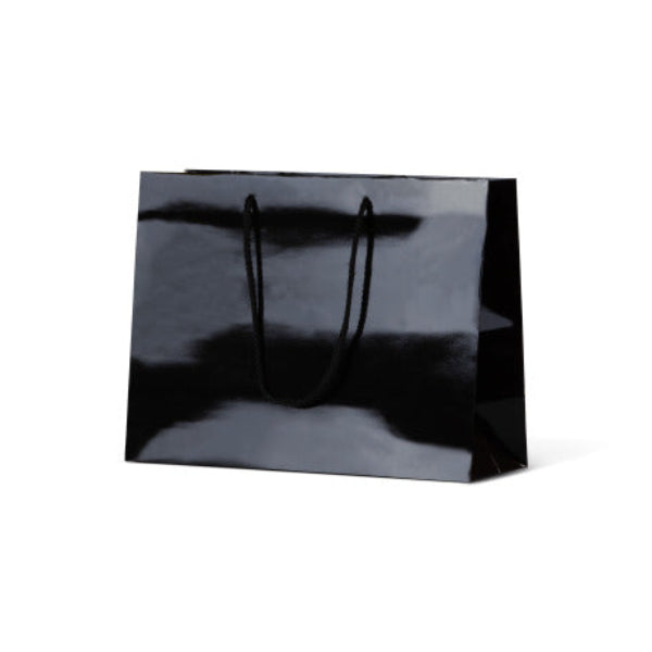 Laminated Gloss Ruby Black Paper Bag - 100/ctn