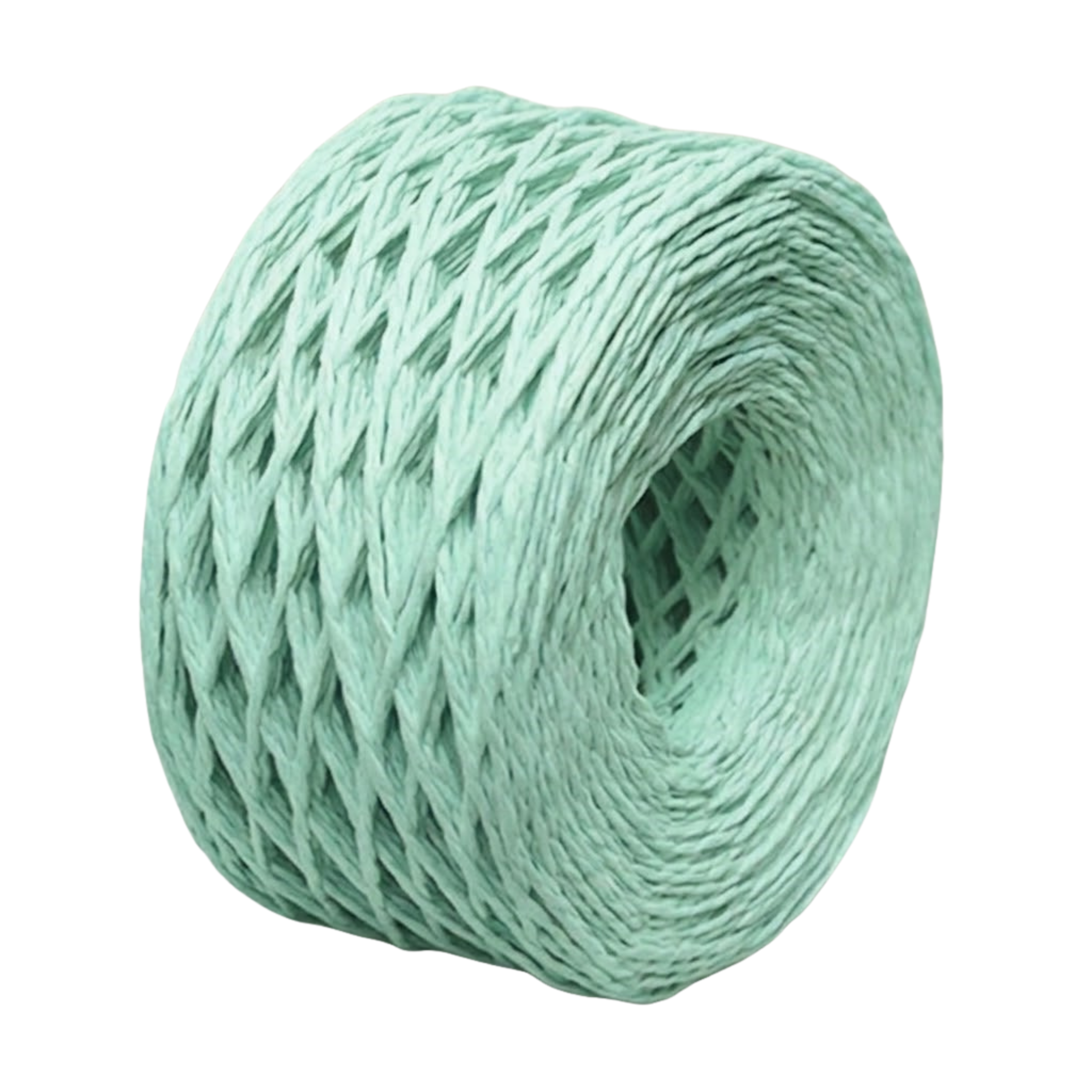 Paper Twine 2mm X 100mtrs Mint