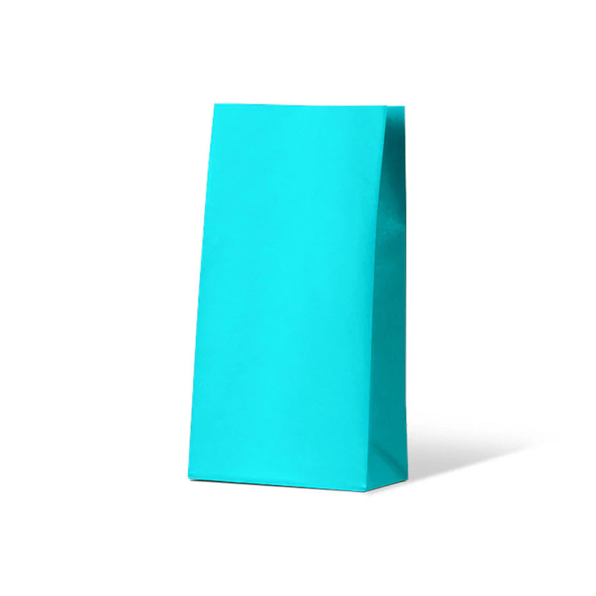 Beach Blue Medium Coloured Gift Paper Bag 500/ctn