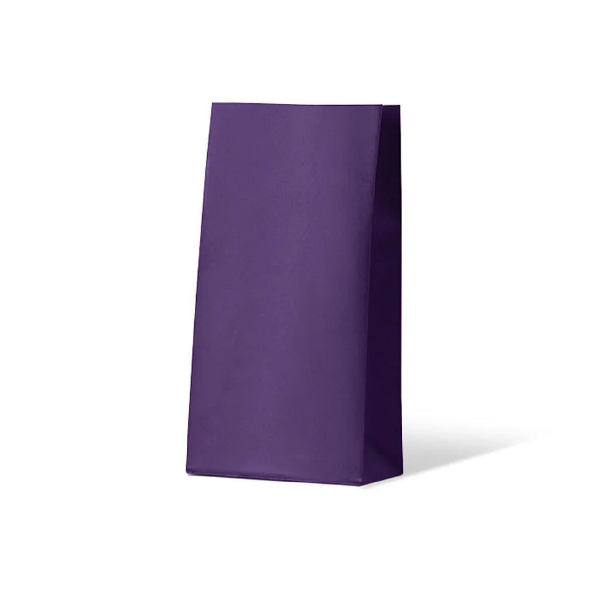 Passion Purple Medium Coloured Gift Paper Bag 500c