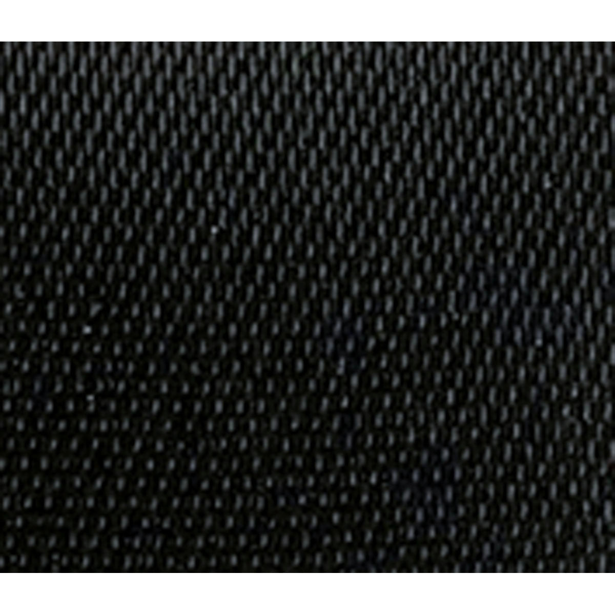 rb_ds16_blk.jpg