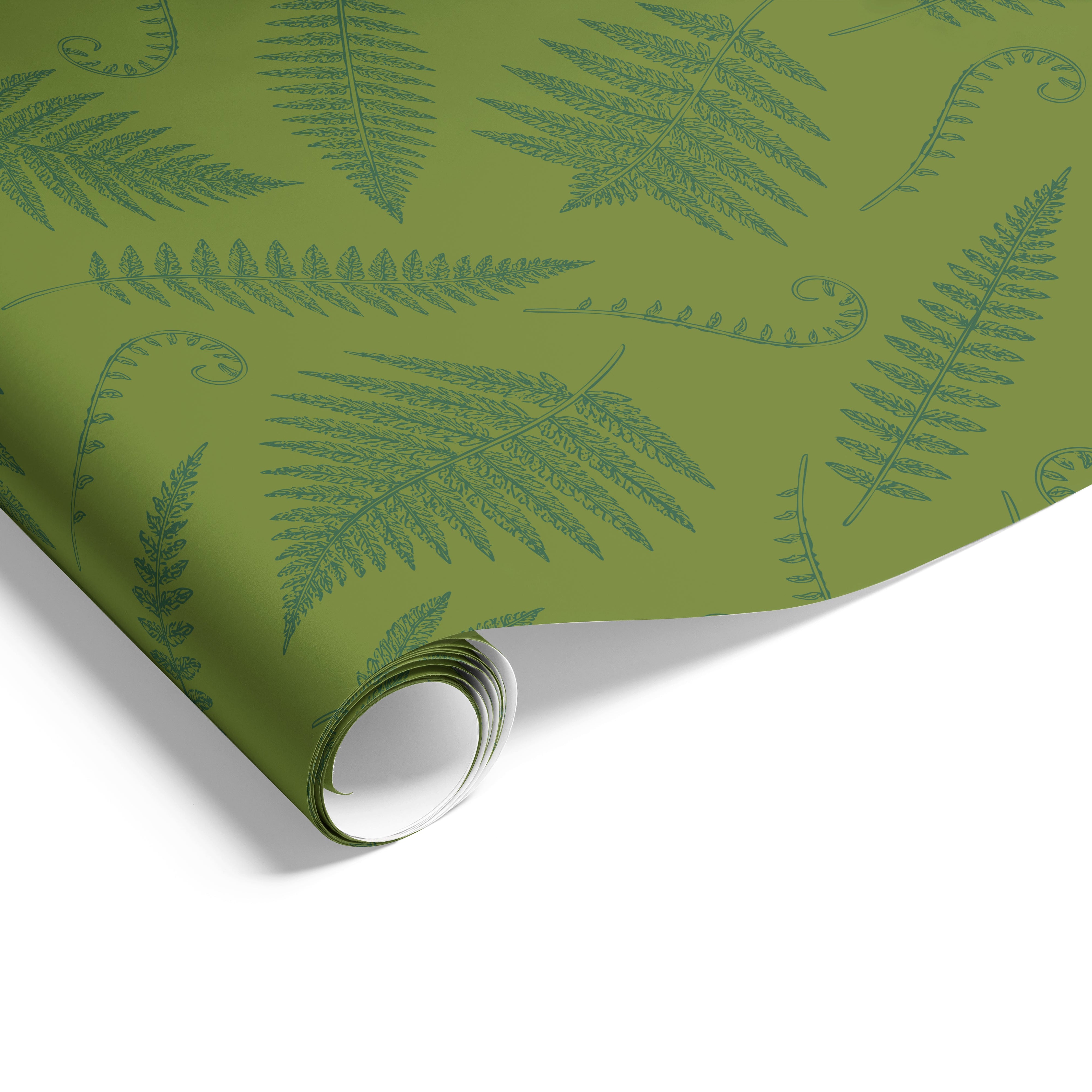 Fern on Matte