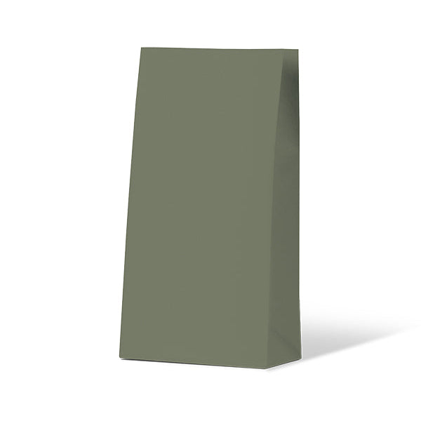 Earth Green Medium Coloured Gift Paper Bag 500/ctn