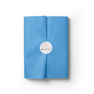 Silk 17gsm Pacific Blue