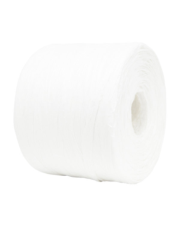 rb_r500_white.jpg